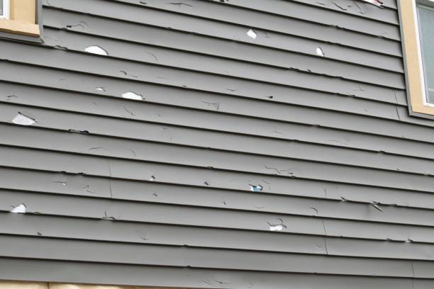 Best Shed Removal  in Syosset, NY